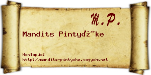 Mandits Pintyőke névjegykártya